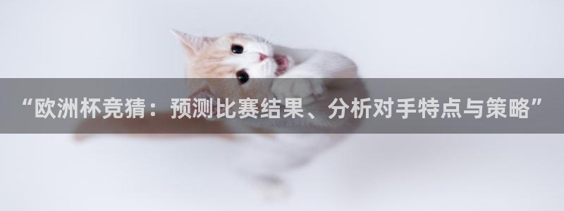 世界杯小组赛赛程：“欧洲杯竞猜：预测比赛结果、分析对手特点与策略”