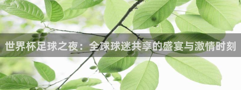 2026葡萄牙杯赛程表：世界杯足球之夜：全球球迷共享的盛宴与激情时刻