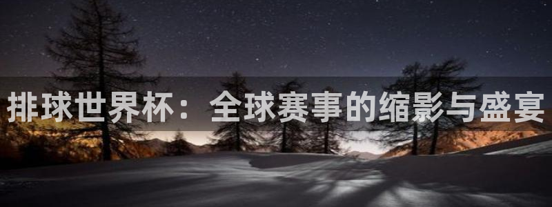 欧洲区世界杯预选赛：排球世界杯：全球赛事的缩影与盛宴