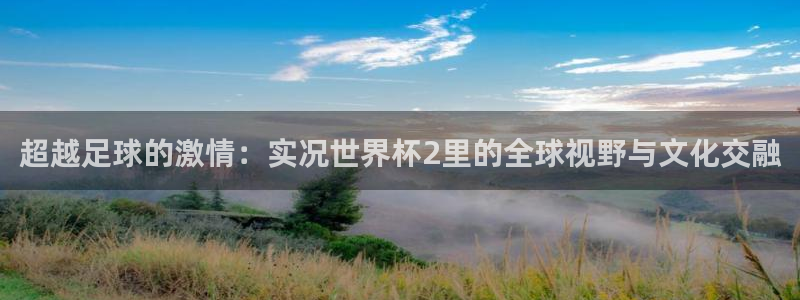 世界杯直播免费观看:超越足球的激情:实况世界杯2里的全球视野与文化交融