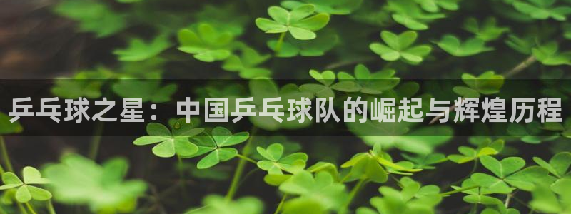 亚洲区世界杯预选赛：乒乓球之星：中国乒乓球队的崛起与辉煌历程