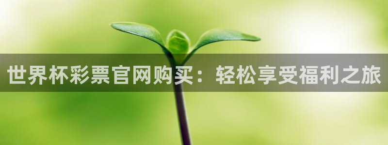 西超杯直播：世界杯彩票官网购买：轻松享受福利之旅