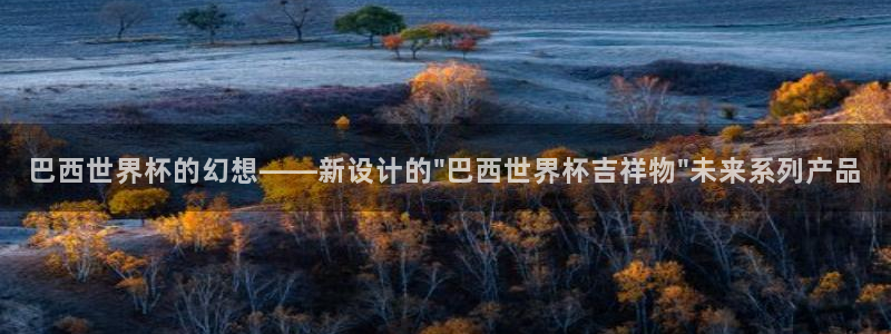 欧洲世界杯预选赛：巴西世界杯的幻想——新设计的\
