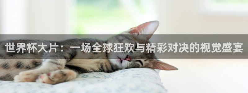 女足世界杯直播在线观看免费高清：世界杯大片：一场全球狂欢与精彩对决的视觉盛宴