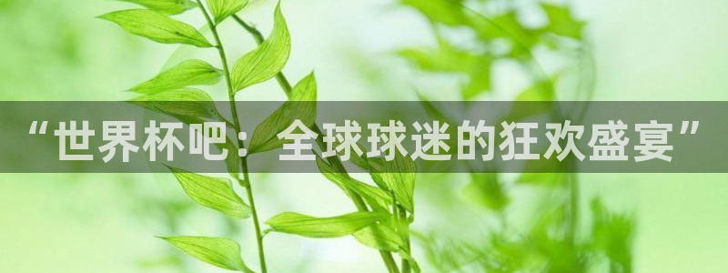 2026世界杯足球赛程时间表：“世界杯吧：全球球迷的狂欢盛宴”