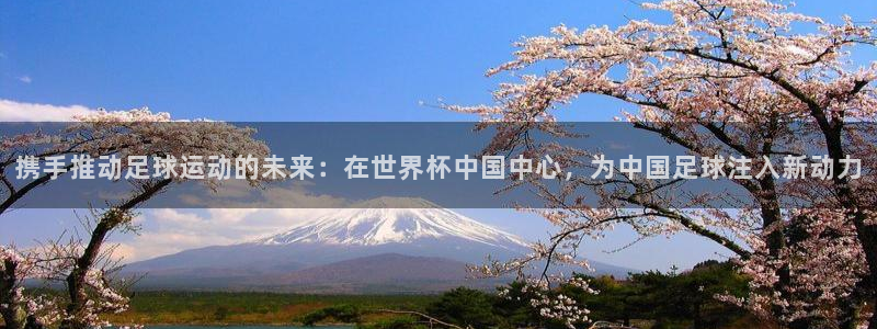 世界杯时间：携手推动足球运动的未来：在世界杯中国中心，为中国足球注入新动力