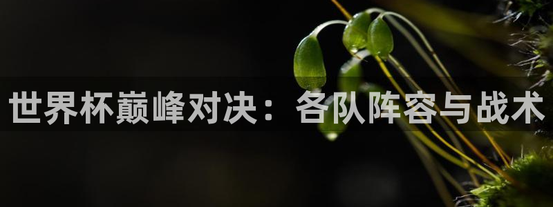 2026世界杯赛制：世界杯巅峰对决：各队阵容与战术