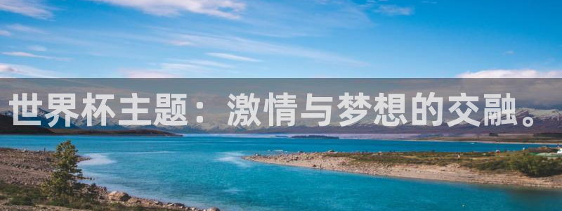 2026年世界杯赛程：世界杯主题：激情与梦想的交融。