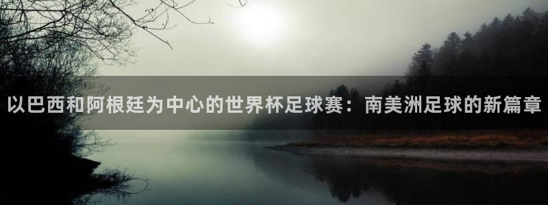 足球杯：以巴西和阿根廷为中心的世界杯足球赛：南美洲足球的新篇章