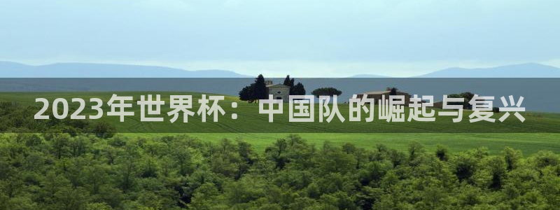 足球比分直播世界杯：2023年世界杯：中国队的崛起与复兴