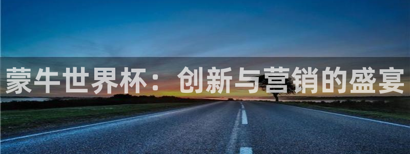 世界杯系列赛：蒙牛世界杯：创新与营销的盛宴