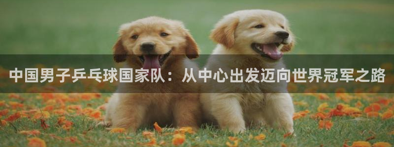 世界杯赛程时间表：中国男子乒乓球国家队：从中心出发迈向世界冠军之路