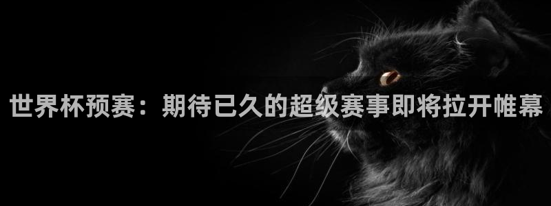 英格兰联赛杯直播：世界杯预赛：期待已久的超级赛事即将拉开帷幕