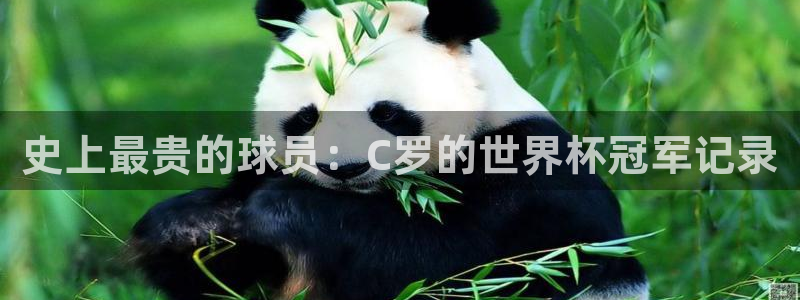 世界杯足球比赛：史上最贵的球员：C罗的世界杯冠军记录